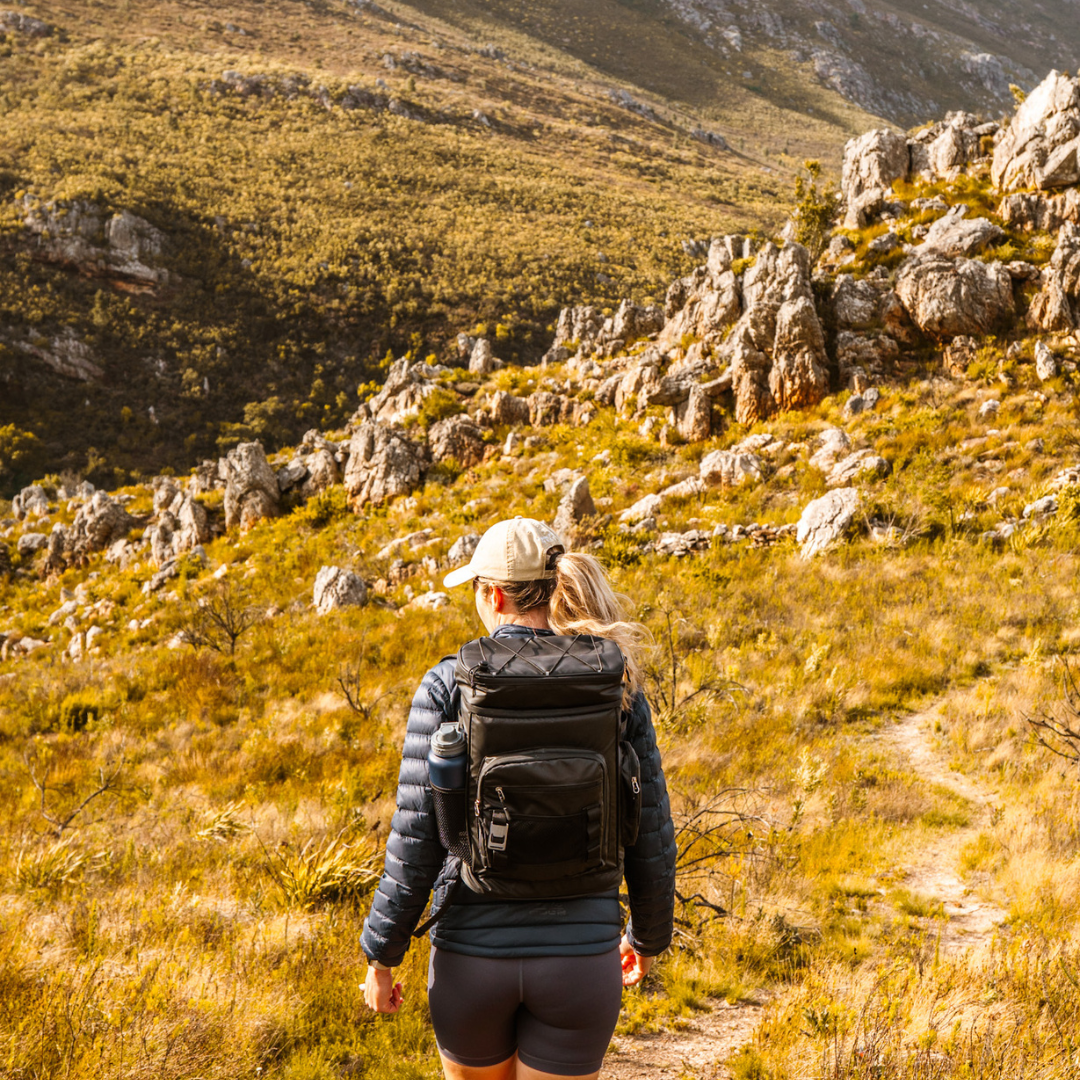 Olli. Picnic Backpack